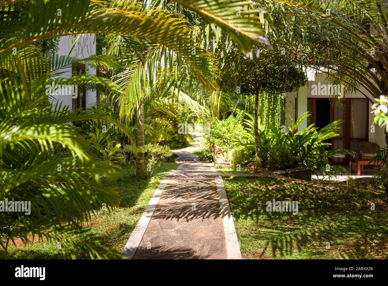 Paesaggio naturale con il percorso in pietra in un hotel tropicale. Giardino paesaggistico in una tropica. Percorso panoramico nel verde. Accogliente percorso alla luce del sole. Foto Stock