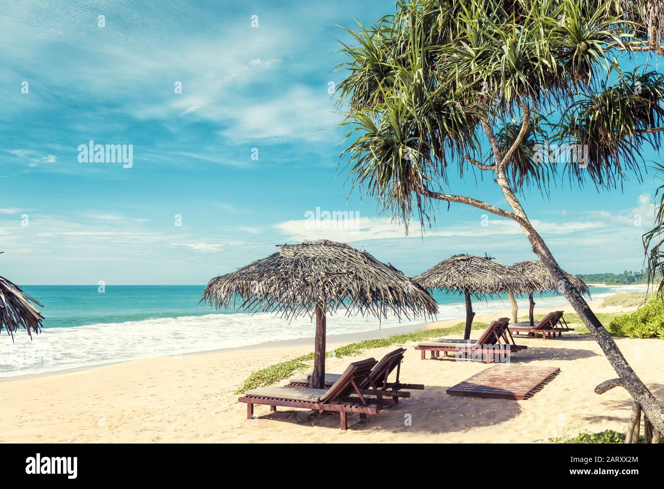 Lettini da spiaggia con ombrelloni sulla spiaggia tropicale in Sri Lanka. Vista panoramica su una spiaggia di sabbia. Bellissima spiaggia di mare alla luce del sole. Spiaggia del resort con palme Foto Stock