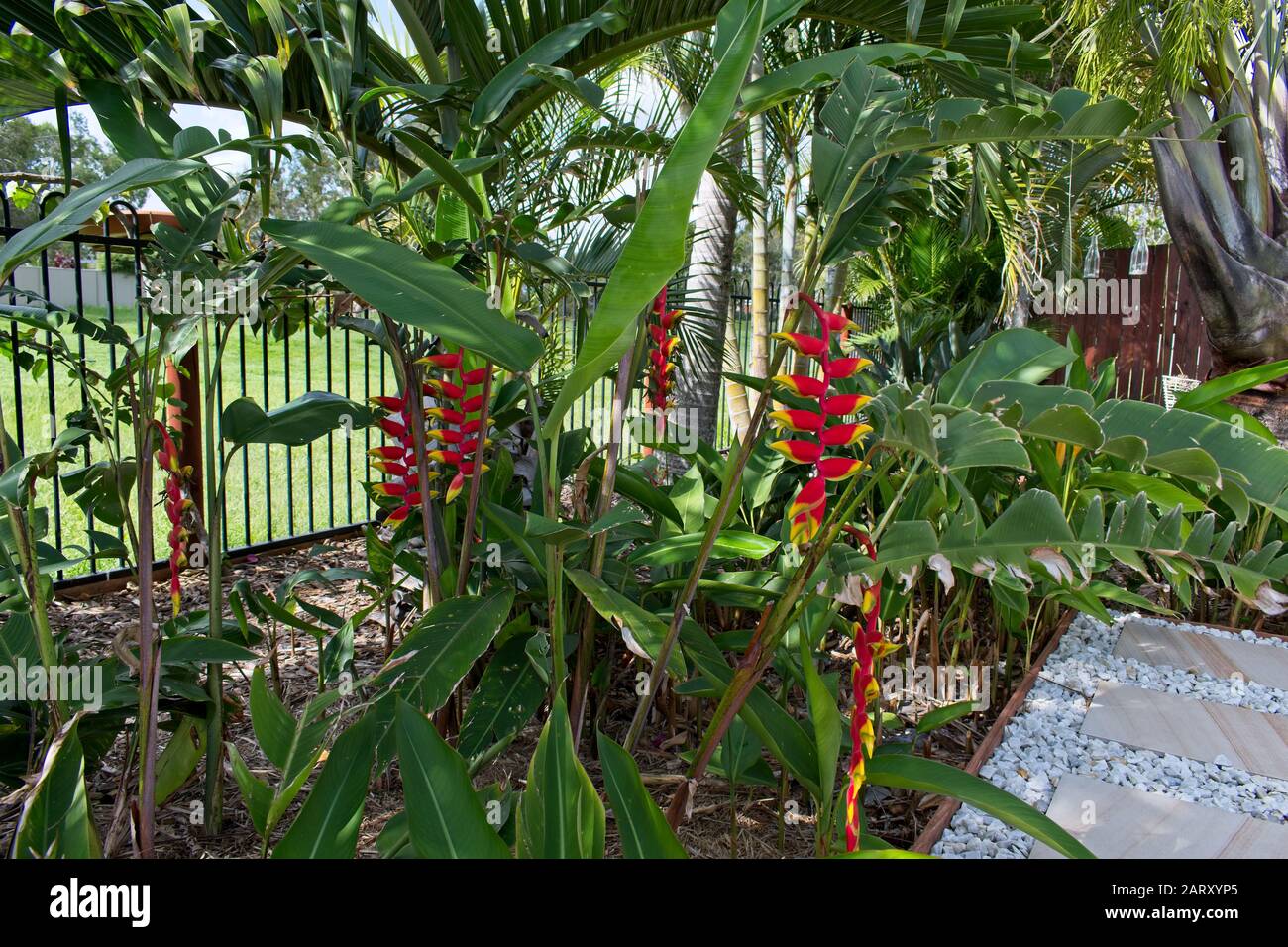 Cortile tropicale nel Queensland Australia Foto Stock