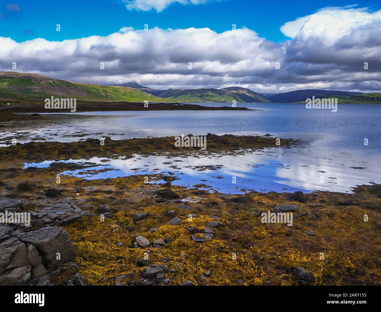 Vista su Vatnsfjordur dalla costa vicino a Flokalundur nei Westfjordi d'Islanda Foto Stock