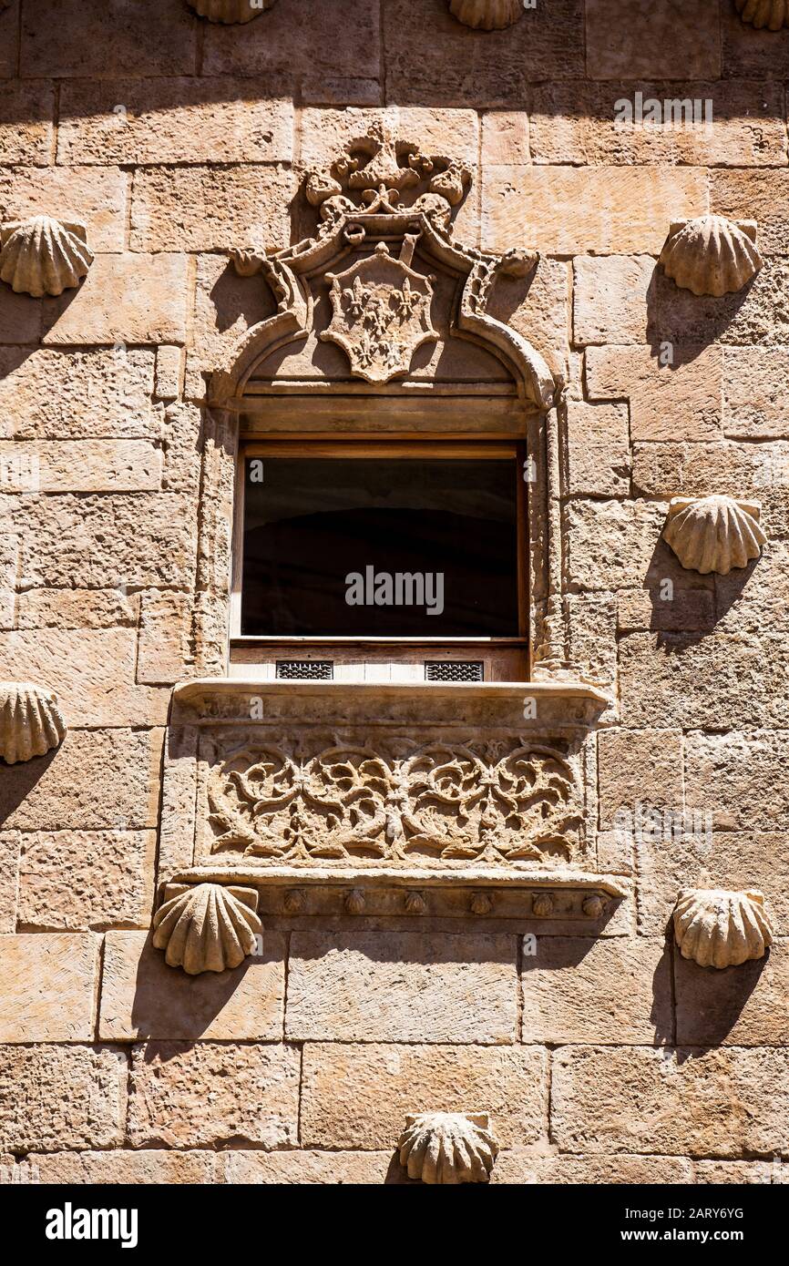 Particolare delle finestre della storica Casa Delle Conchiglie costruita nel 1517 da Rodrigo Arias de Maldonado cavaliere Dell'Ordine di Santiago de Compostela Foto Stock