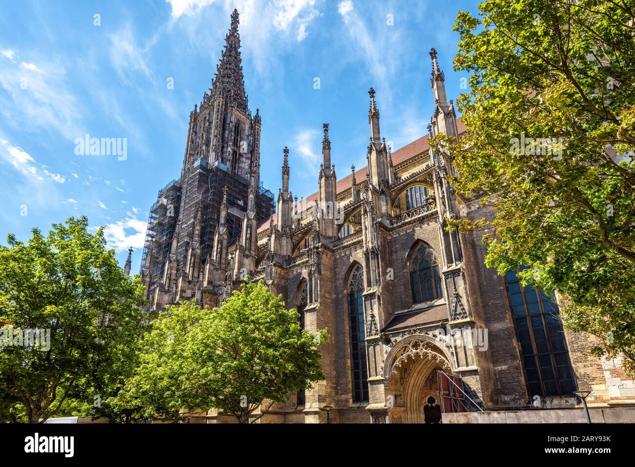 Ulm Minster o Cattedrale della città di Ulm, Germania. E' un famoso punto di riferimento di Ulm. Panorama di facciata ornata della chiesa gotica in estate. Scenario di mediev Foto Stock