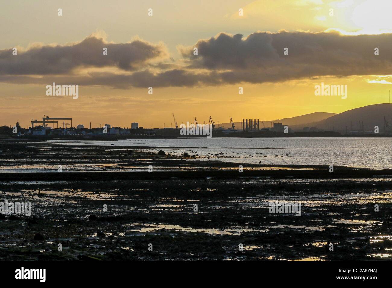 Lo skyline di Belfast, uno skyline industriale, al tramonto sopra Belfast Lough in un pomeriggio d'autunno guardando attraverso Belfast Lough scorcio a Holywood. Foto Stock