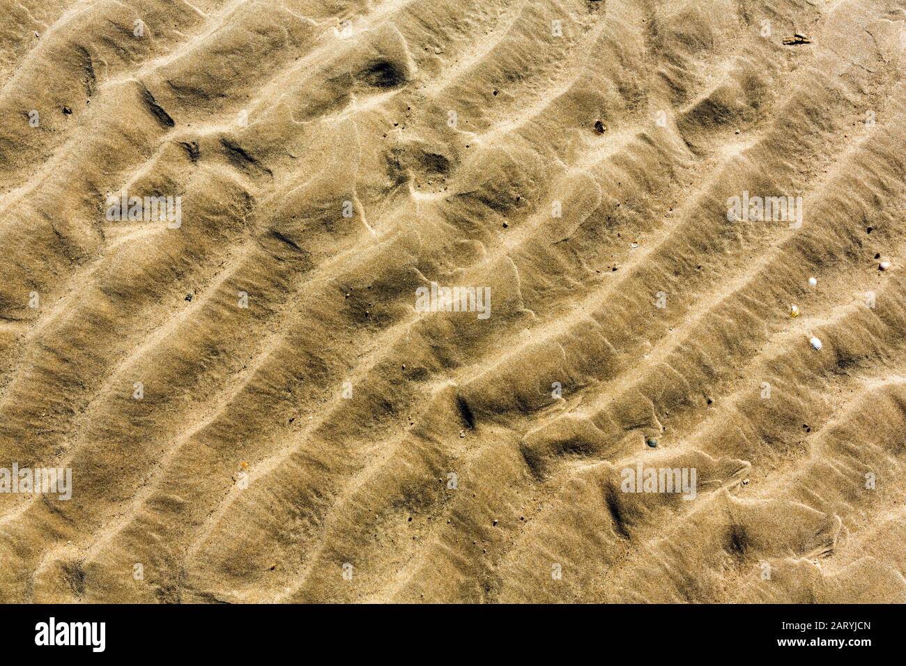 Formazione di ondulazione di sabbia su una spiaggia Foto Stock