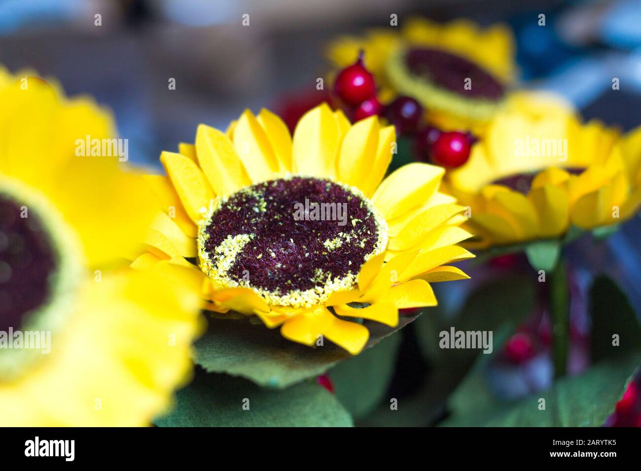 I fiori di albicocca nel giardino si preparano ad accogliere il tradizionale Tet.hoa mai traong khu vườn chuẩn bị đón tết truyền thống Foto Stock