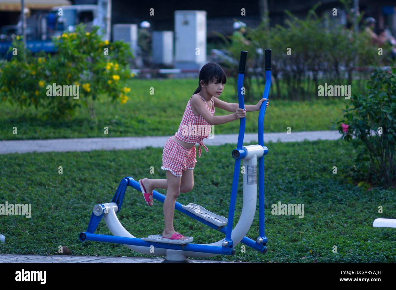 I fiori di albicocca nel giardino si preparano ad accogliere il tradizionale Tet.hoa mai traong khu vườn chuẩn bị đón tết truyền thống Foto Stock