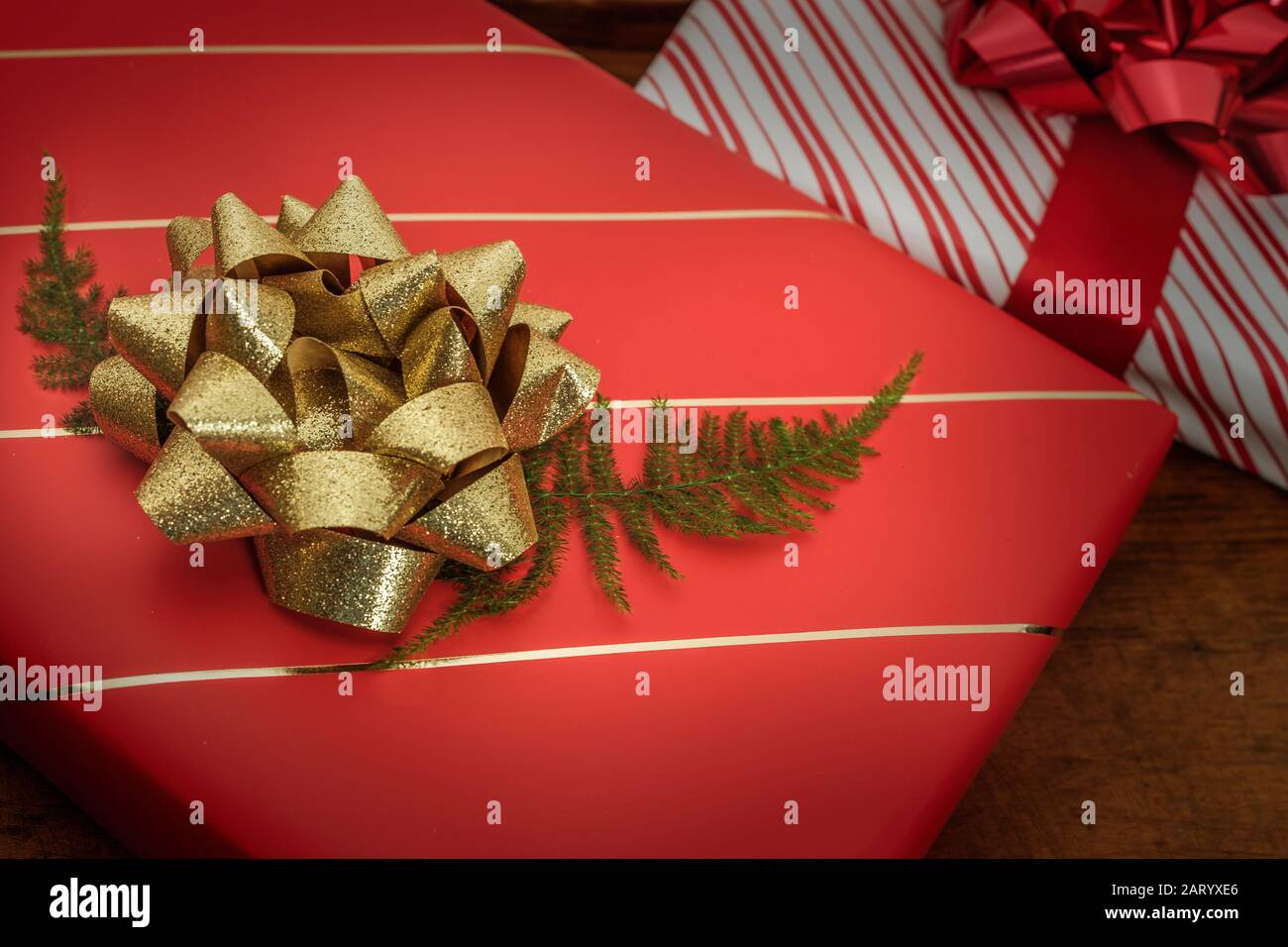 Pino fronte sotto prua su regalo di Natale Foto Stock