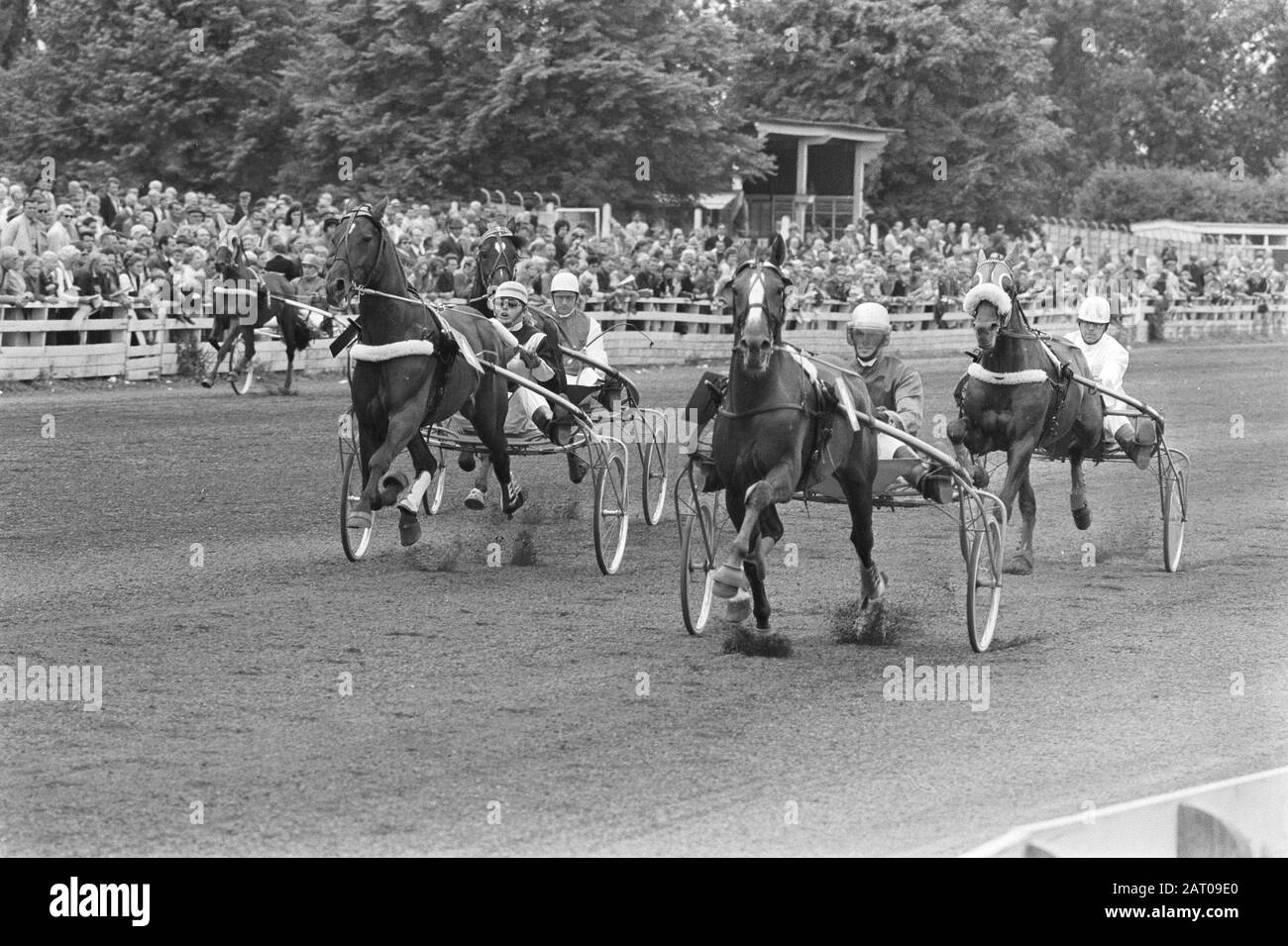 Trotto op Mereveld Data: 18 luglio 1971 Parole Chiave: Trotto Foto Stock