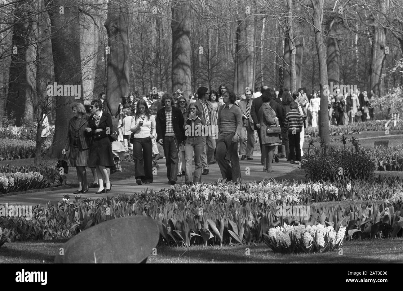 Stampa su Keukenhof Data: 6 aprile 1974 Parole Chiave: Public Institution name: Keukenhof Foto Stock