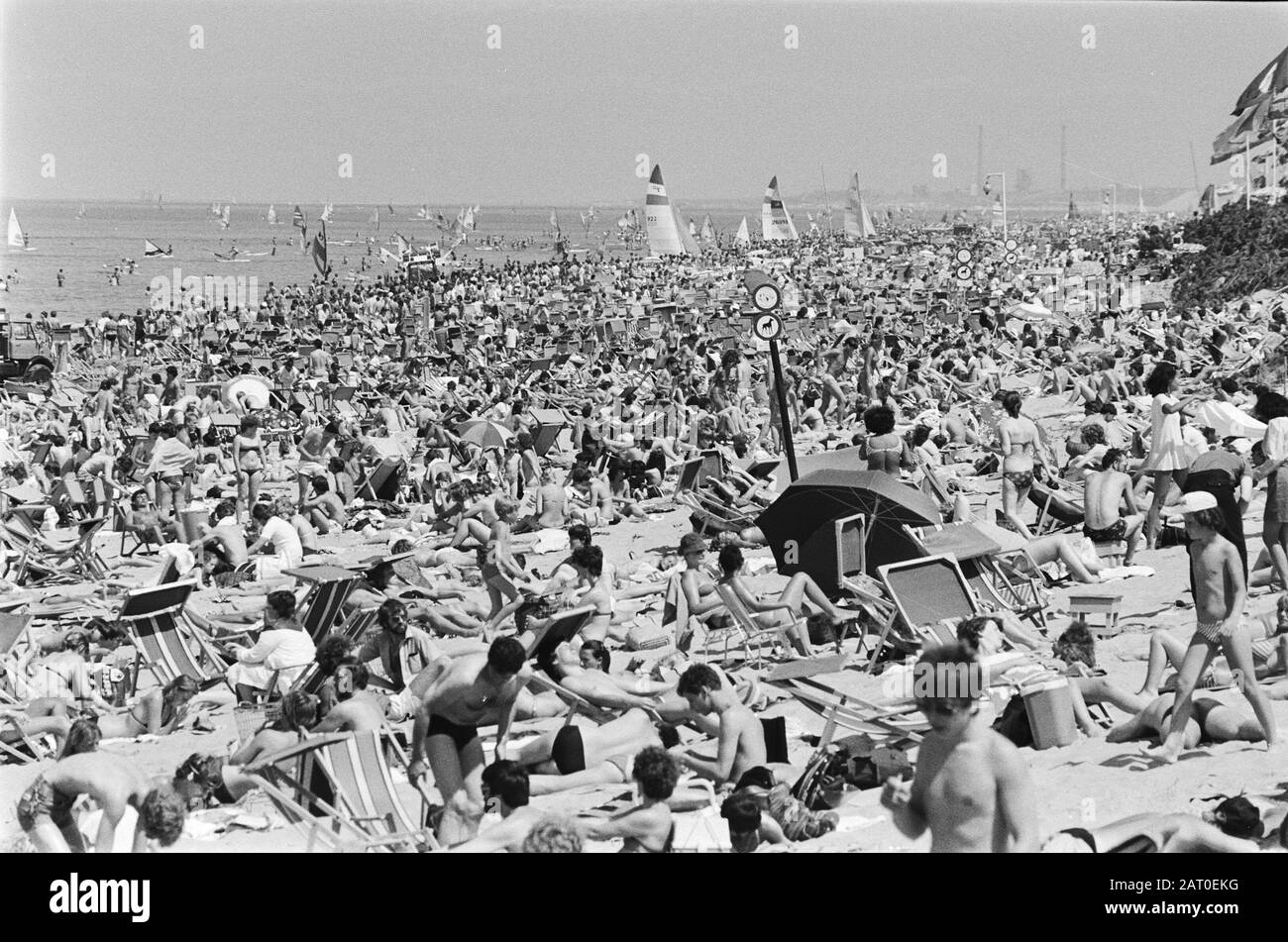 Occupato sulla spiaggia di Zandvoort a causa del bel tempo Data: 31 Maggio 1982 Località: Noord-Holland, Zandvoort Parole Chiave: Spiagge Foto Stock