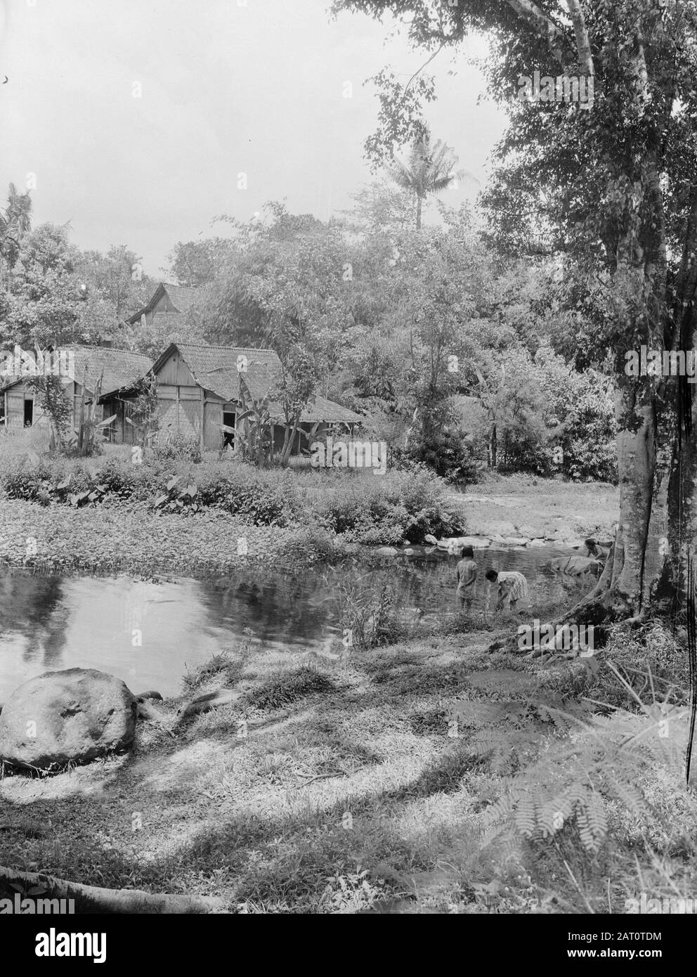 Foto della natura A kampong vicino a un fiume Data: Ottobre 1947 Ubicazione: Indonesia, Indie orientali olandesi Foto Stock