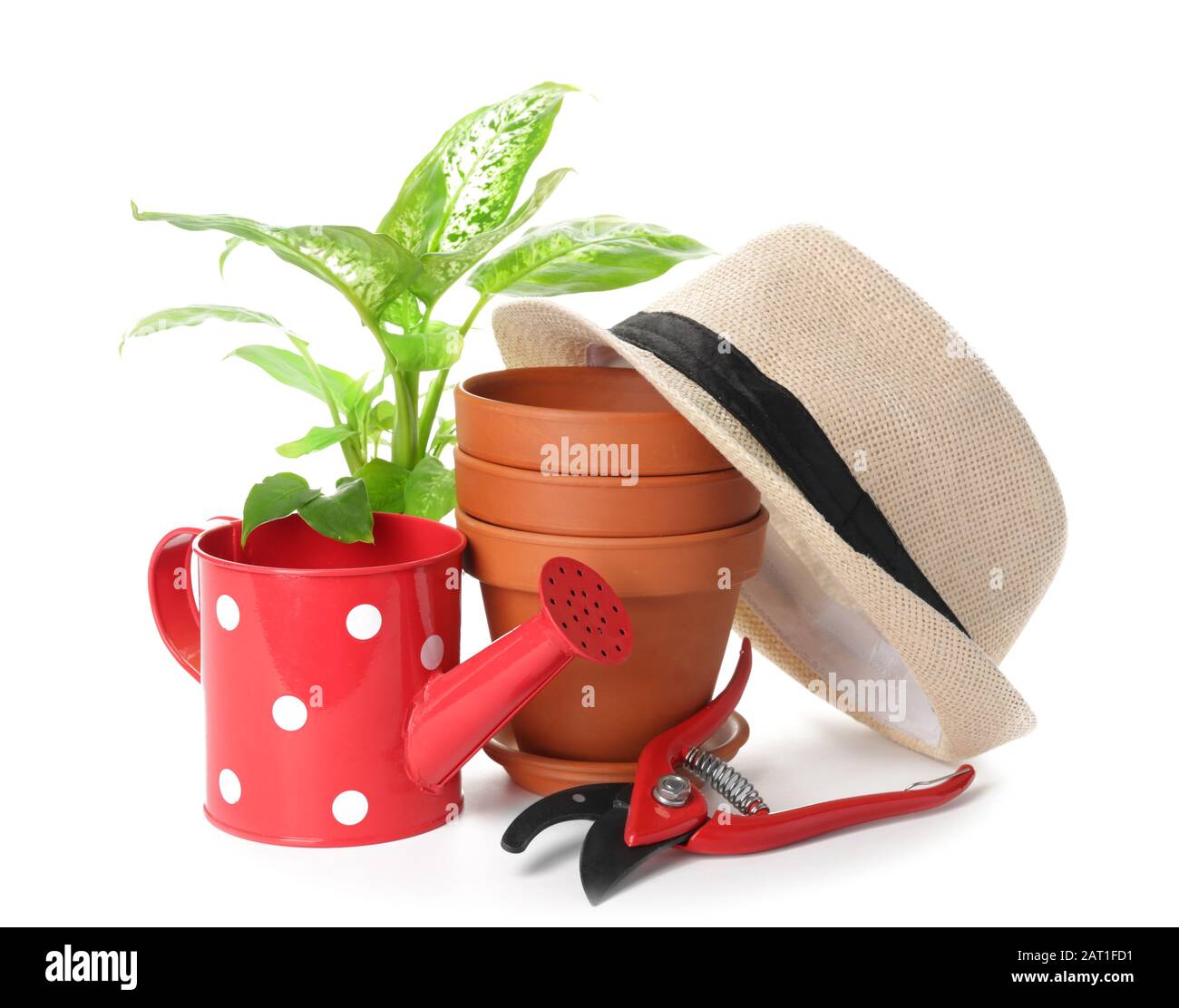 Set di forniture per il giardinaggio su sfondo bianco Foto Stock