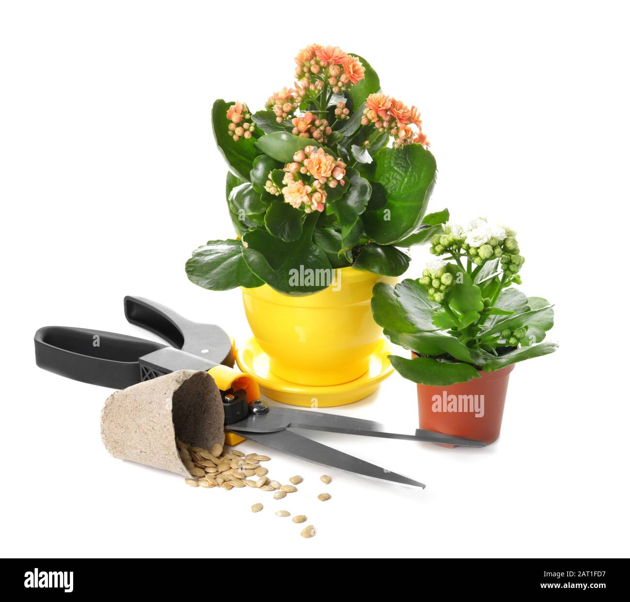 Set di forniture per il giardinaggio su sfondo bianco Foto Stock