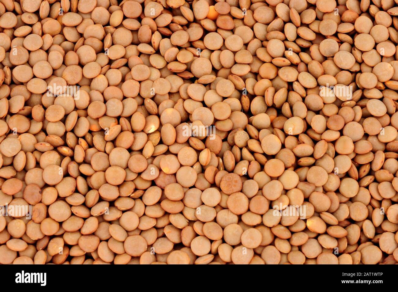 Lenticchie marrone crudo alimento sano priorità bassa dell'ingrediente Foto Stock