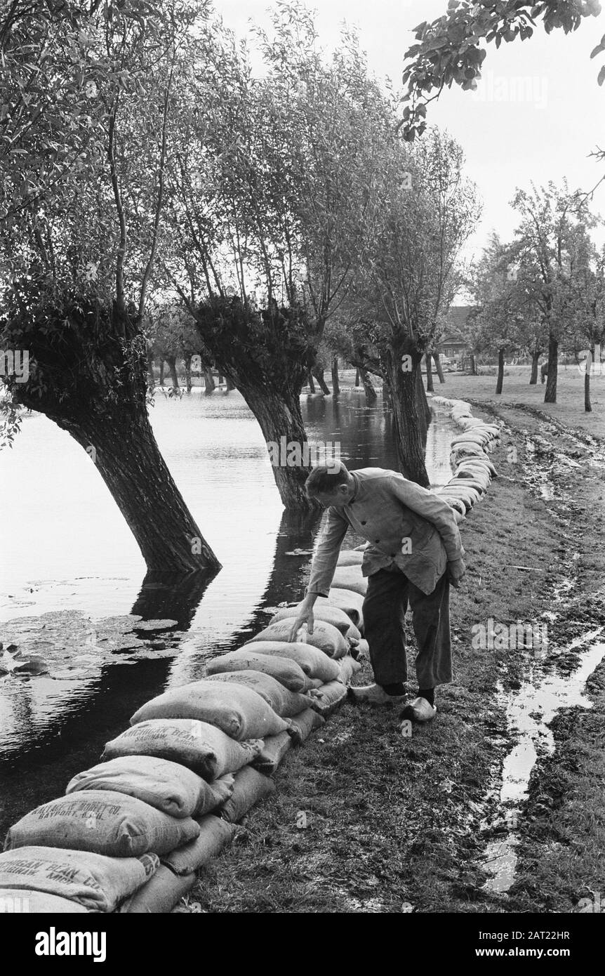 Waternoish a Harmelen. Con sacchi di sabbia il contadino protegge il suo cortile dall'acqua Data: 22 agosto 1963 Località: Harmelen Parole Chiave: Waterlow, sacchi di sabbia Foto Stock