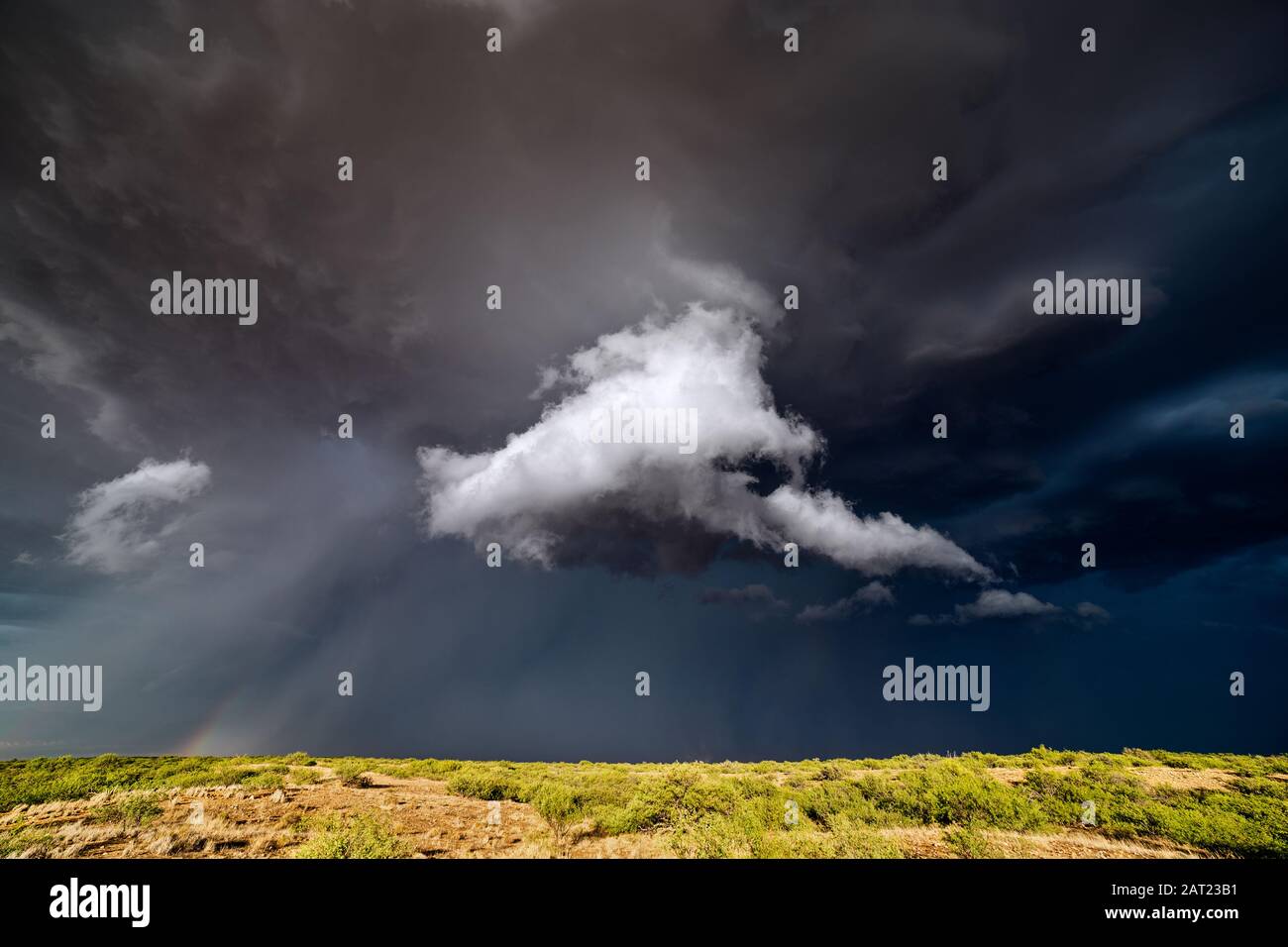 Paesaggio panoramico con nuvole di tempesta oscura e minacciose nel cielo da un temporale Benson, Arizona Foto Stock