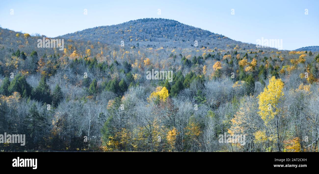 Bella Foresta Naturale Sfondo Montagna In Stagione Autunnale. Paesaggio, Natura, Destinazione Turistica, Vista, Paesaggio, Parco Nazionale, Attrazione E Colo Foto Stock