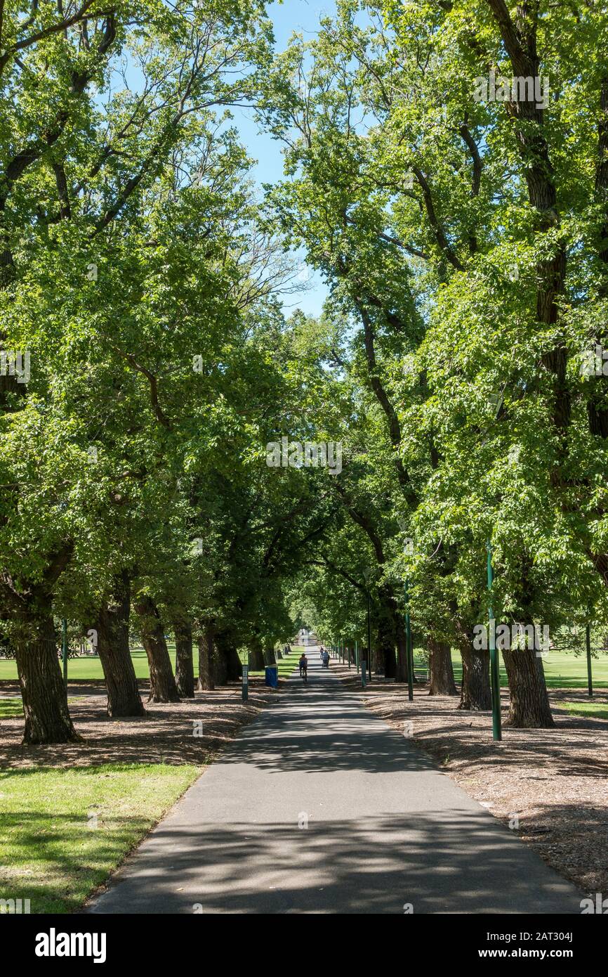 Percorsi ombreggiati attraverso il Parco Fawkner in una calda giornata estiva a Melbourne, Aurstraia Foto Stock