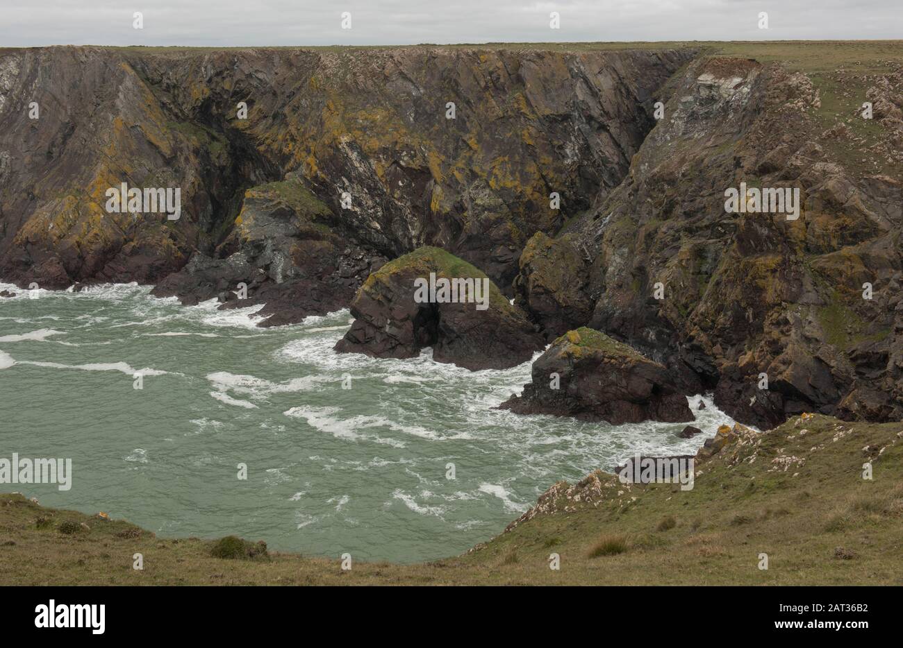 Terreno accidentato e scogliere A Picco a Predannack Superiore sulla costa sud-occidentale tra Mullion Cove e Lizard Point nella Cornovaglia rurale, Inghilterra, Regno Unito Foto Stock