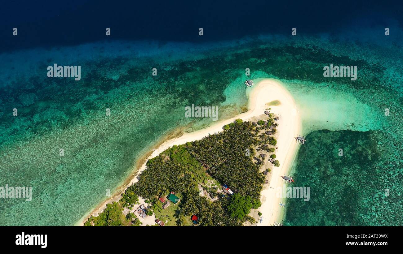 Isola con una spiaggia tropicale e lagune turchesi. Spiaggia di sabbia bianca con palme da cocco, vista dall'alto. Isola Di Digyo, Filippine. Vacanza estiva e concetto di spiaggia tropicale. Foto Stock