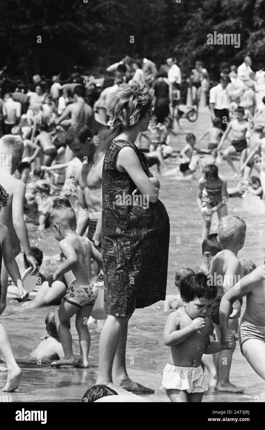 Capitale cittadini in fuga per il calore, folle nella foresta di Amsterdam Data: 31 maggio 1964 Foto Stock