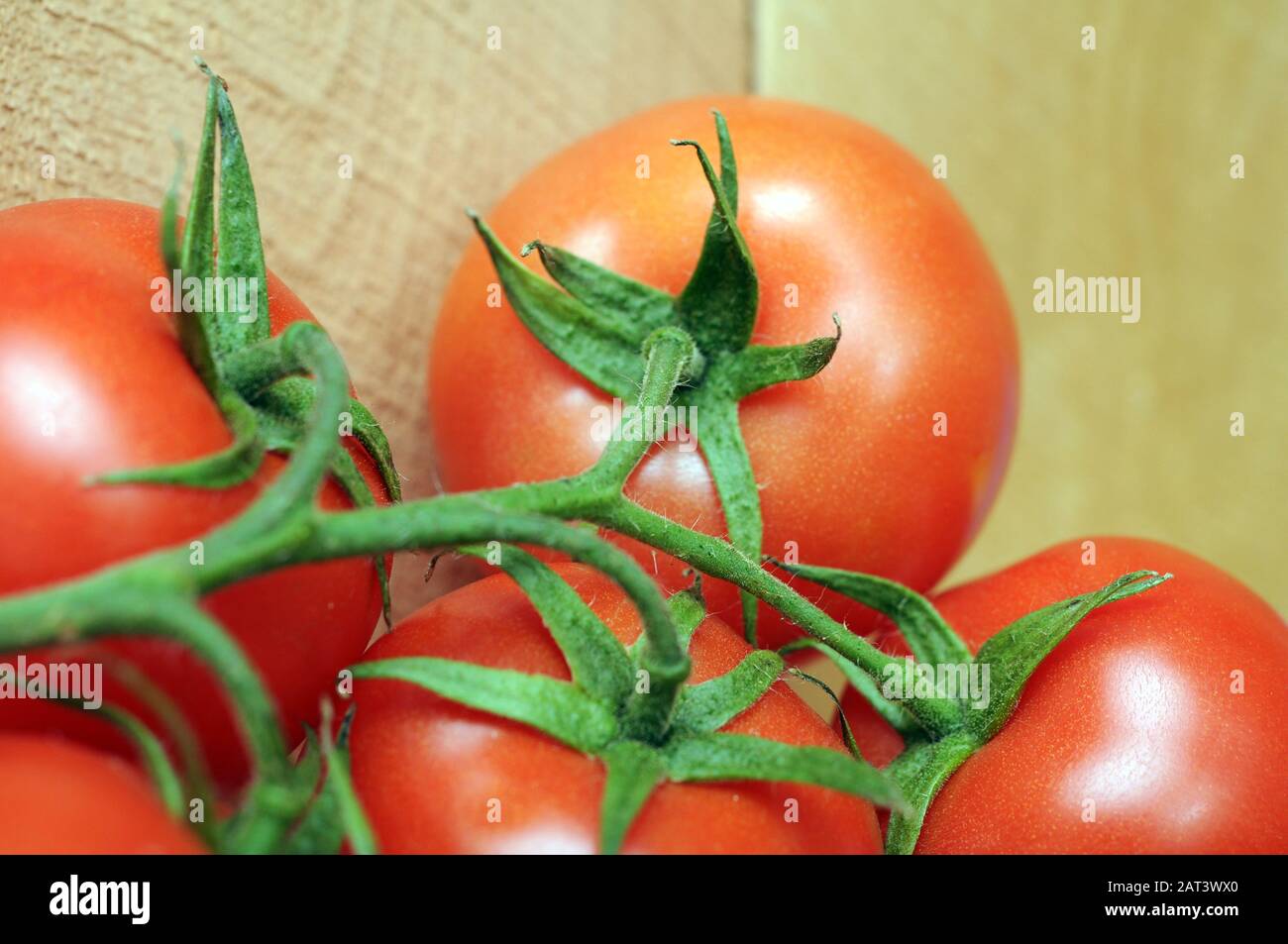Un sacco di pomodori su tavola di legno Foto Stock