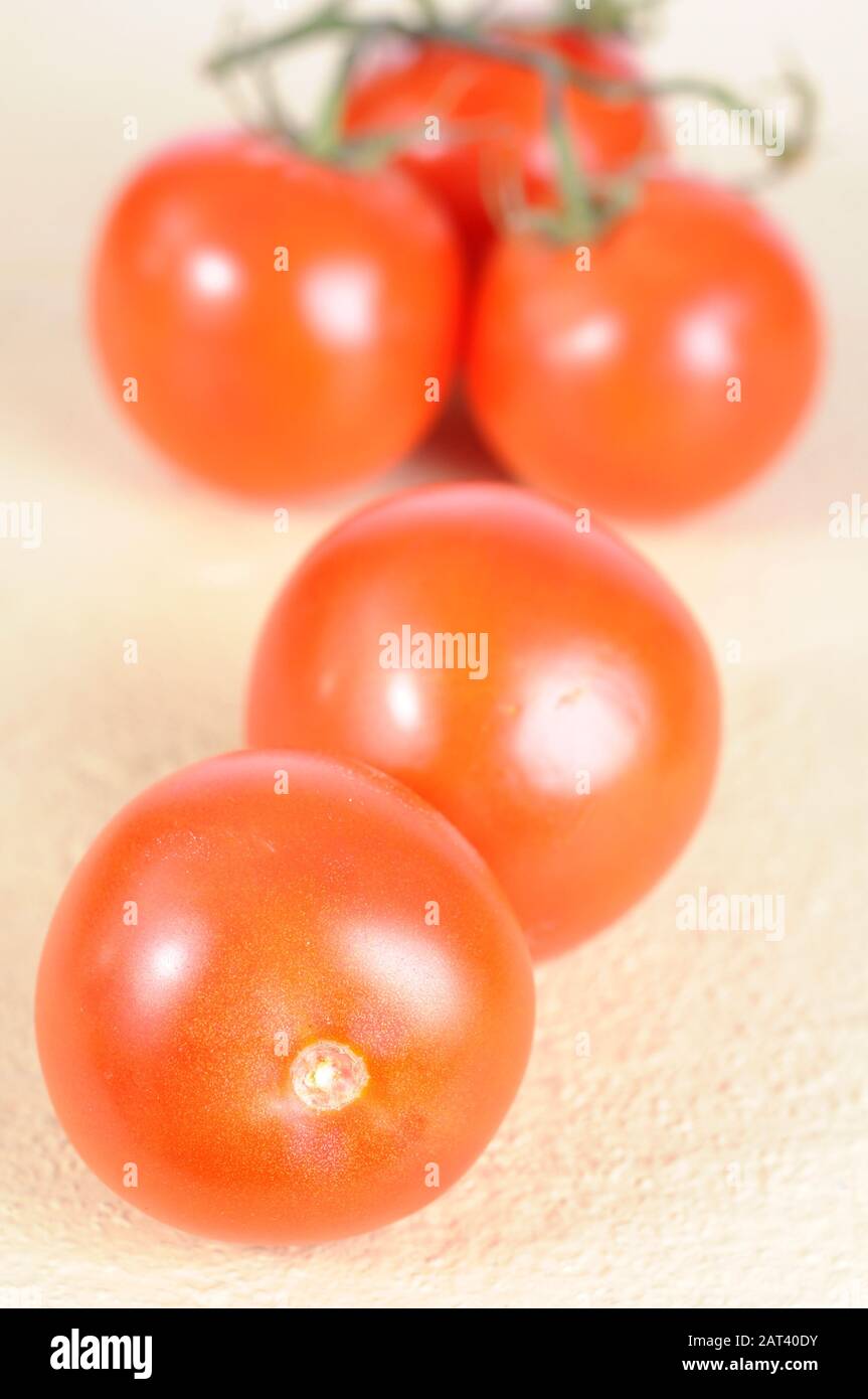 Pomodoro e vite su tavola di legno Foto Stock