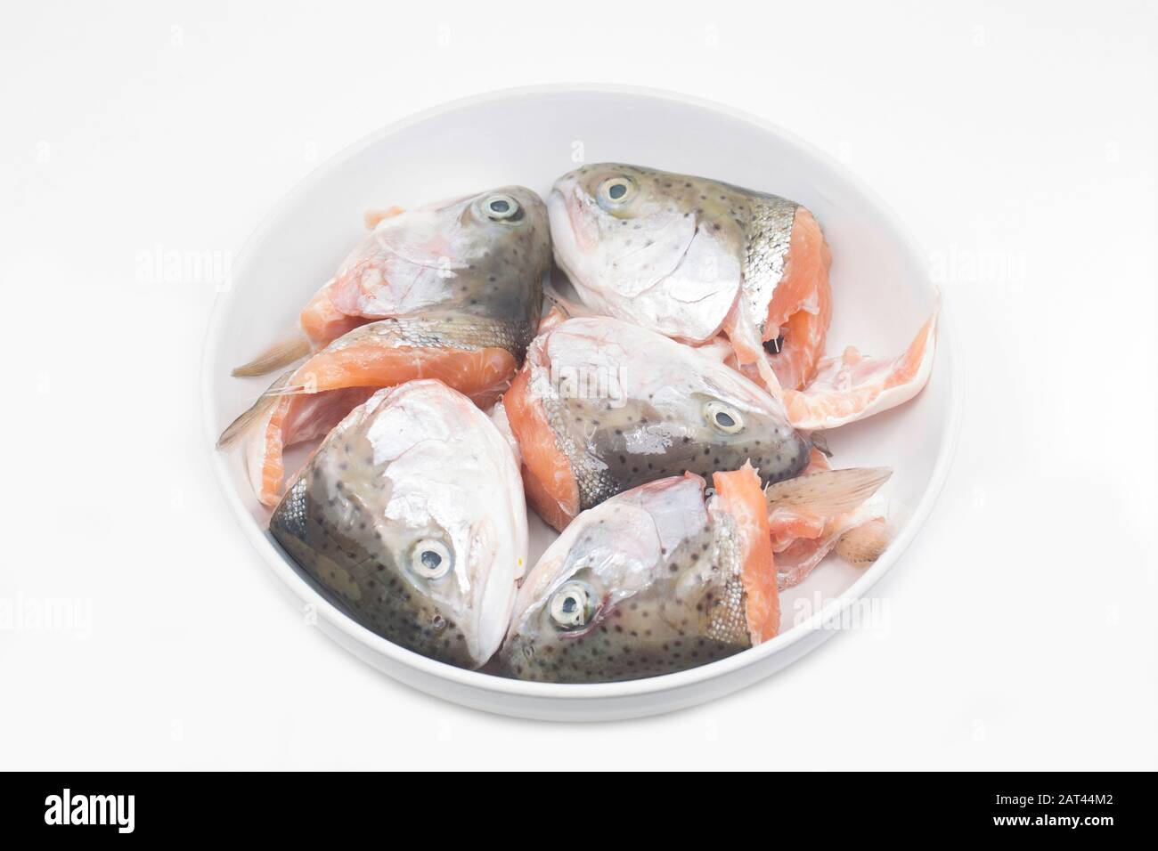 Le teste di cinque trote arcobaleno, Oncorhyncus mykiss, che sarà usato per fare la zuppa di testa di pesce. Le trote sono state catturate pesca a mosca in un serbatoio stocke Foto Stock