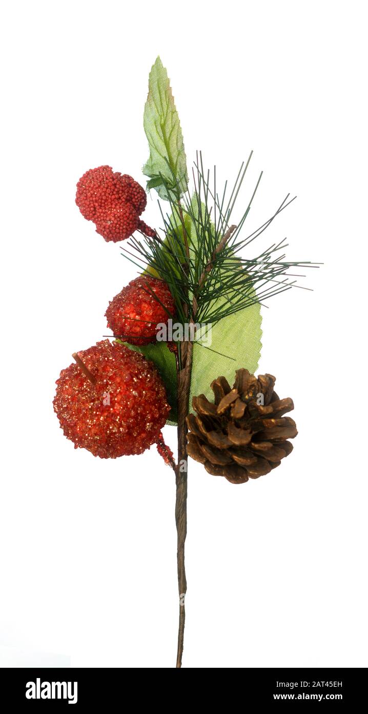 Ornamento di Natale ramo di pino isolato su bianco Foto Stock