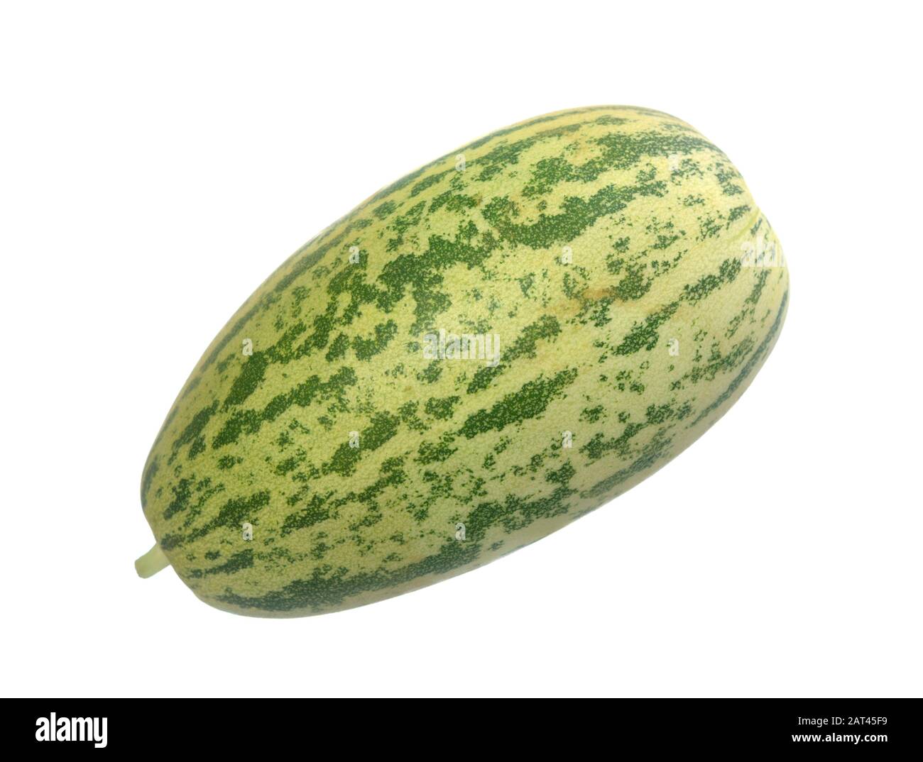 Melone Cobra Foto Stock