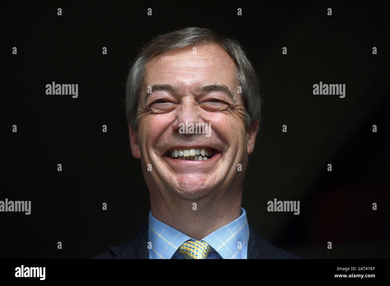 Nigel Farage durante la presentazione del suo ritratto di 'Mr Brexit' da parte dell'artista Dan Llywelyn Hall al ristorante l'Escargot di Londra. Foto Stock