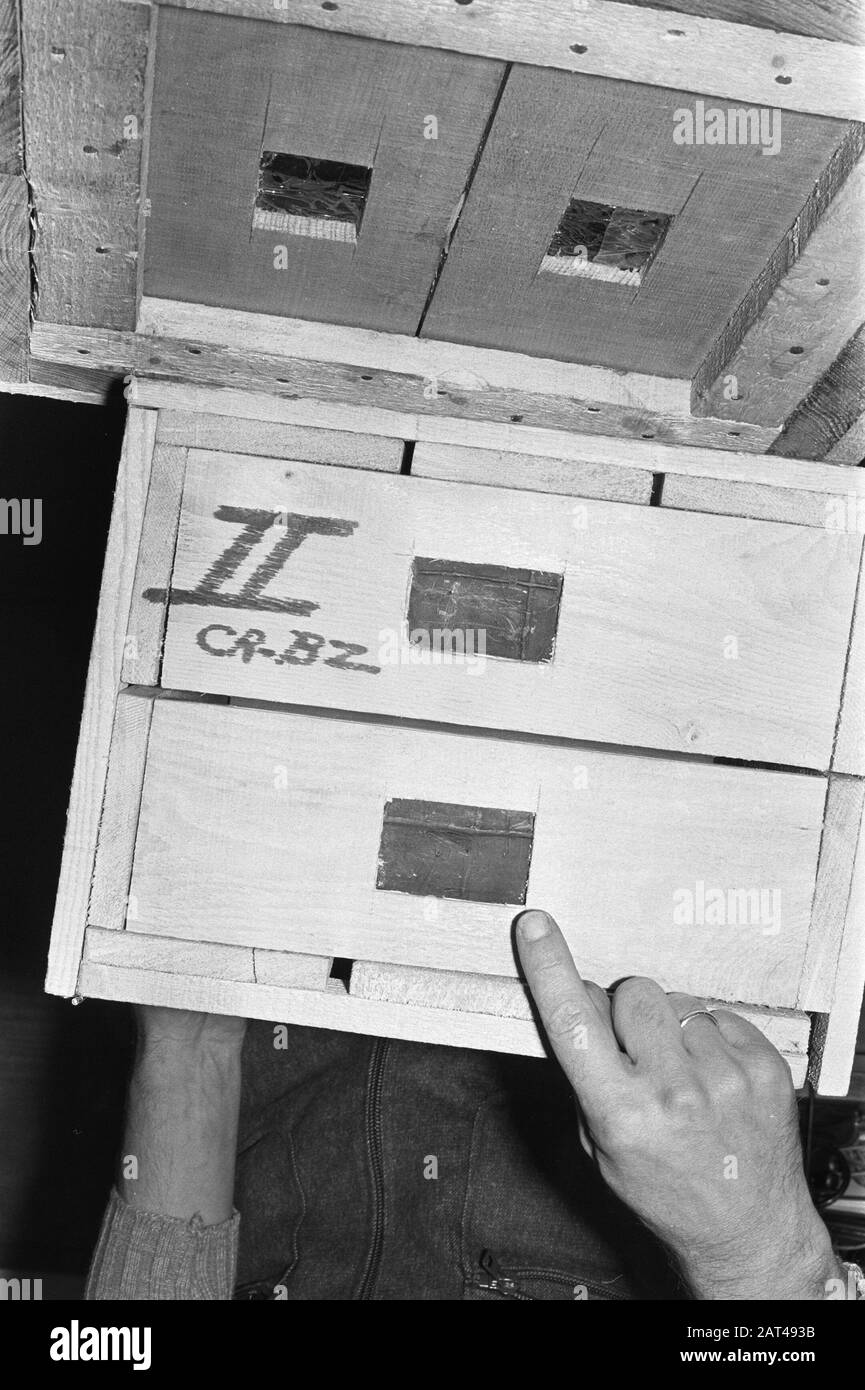 Ispettore Elbersen del dipartimento di Narcotics mostra come l'hashish è stato contrabbandato, hashish nascosto tra scaffale Data: 9 novembre 1972 Parole Chiave: Ispettori, contrabbando, softdrugs Foto Stock