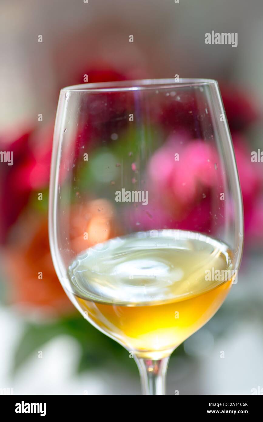 Un bicchiere o un vino riesling bianco Foto Stock