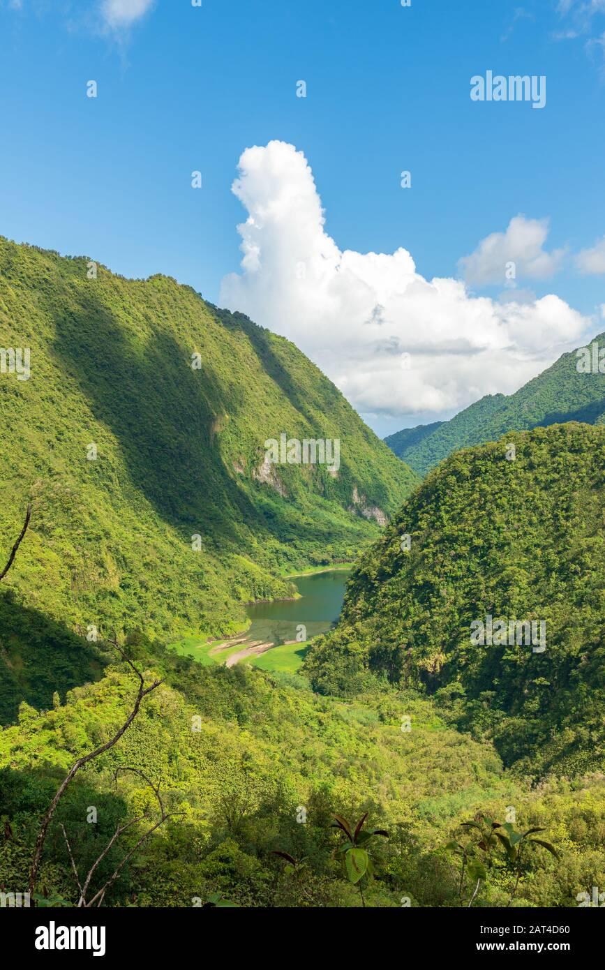 Valle verde a Tahiti, l'interno dell'isola montagnosa della Polinesia francese. Foto Stock