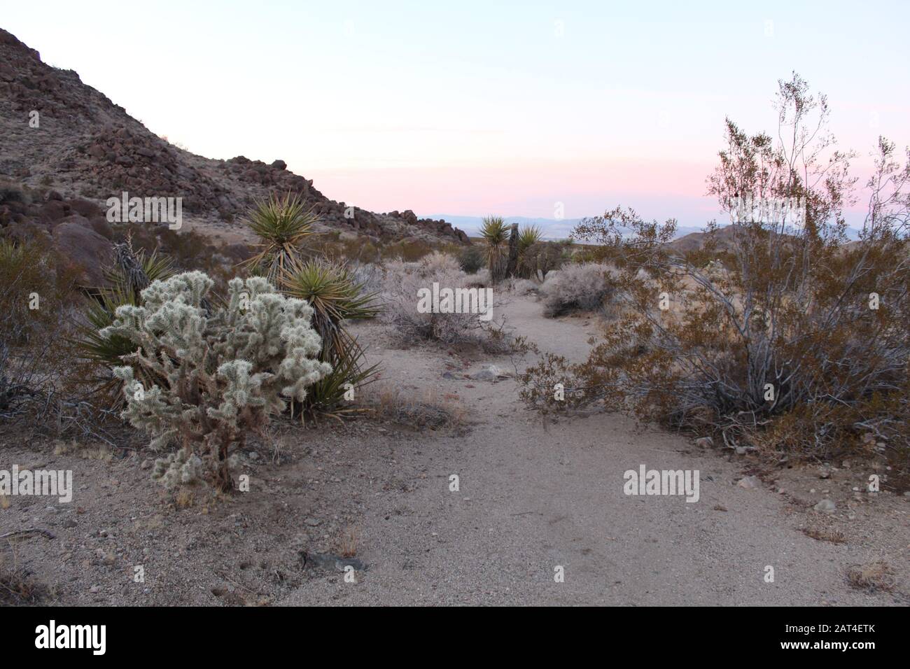 Un Arroyo è un corso d'acqua secco, che fluisce quando saturo. Chiamato anche lavaggio a secco, la loro presenza presenta un percorso attraverso Joshua Tree National Park. Foto Stock