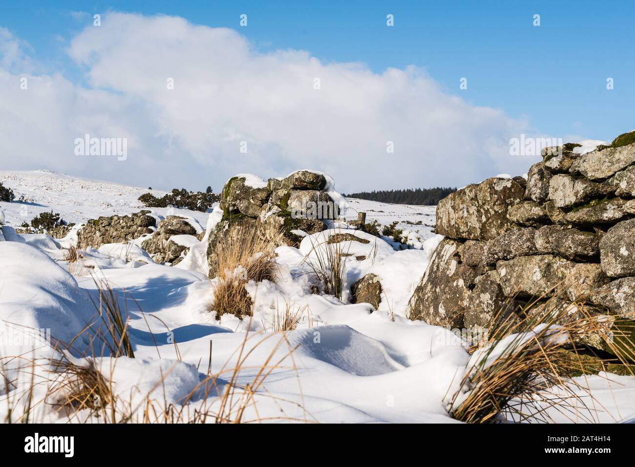Neve su Dartmoor vicino a Dunnabridge Foto Stock