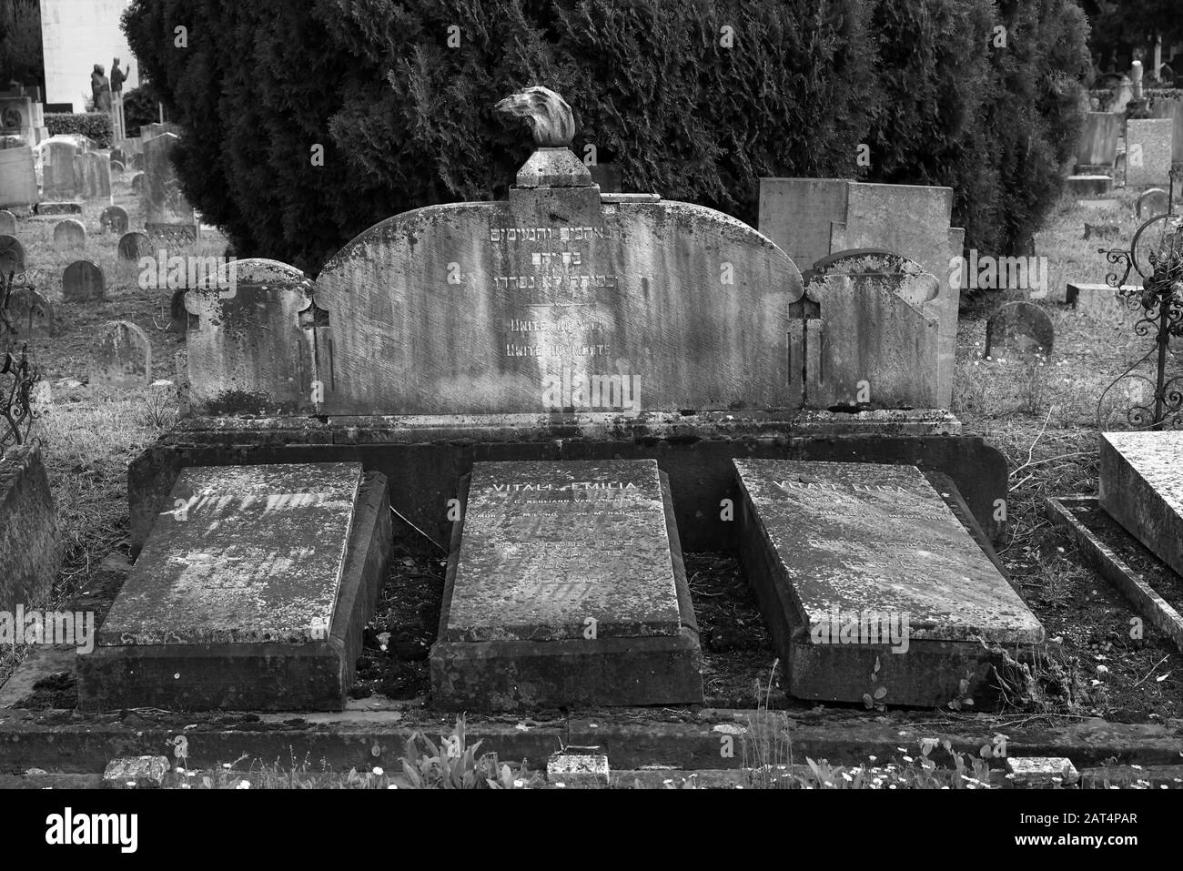 Cimitero ebraico nel Cimitero maggiore, quartiere Musocco, Milano, Italia, Europa Foto Stock