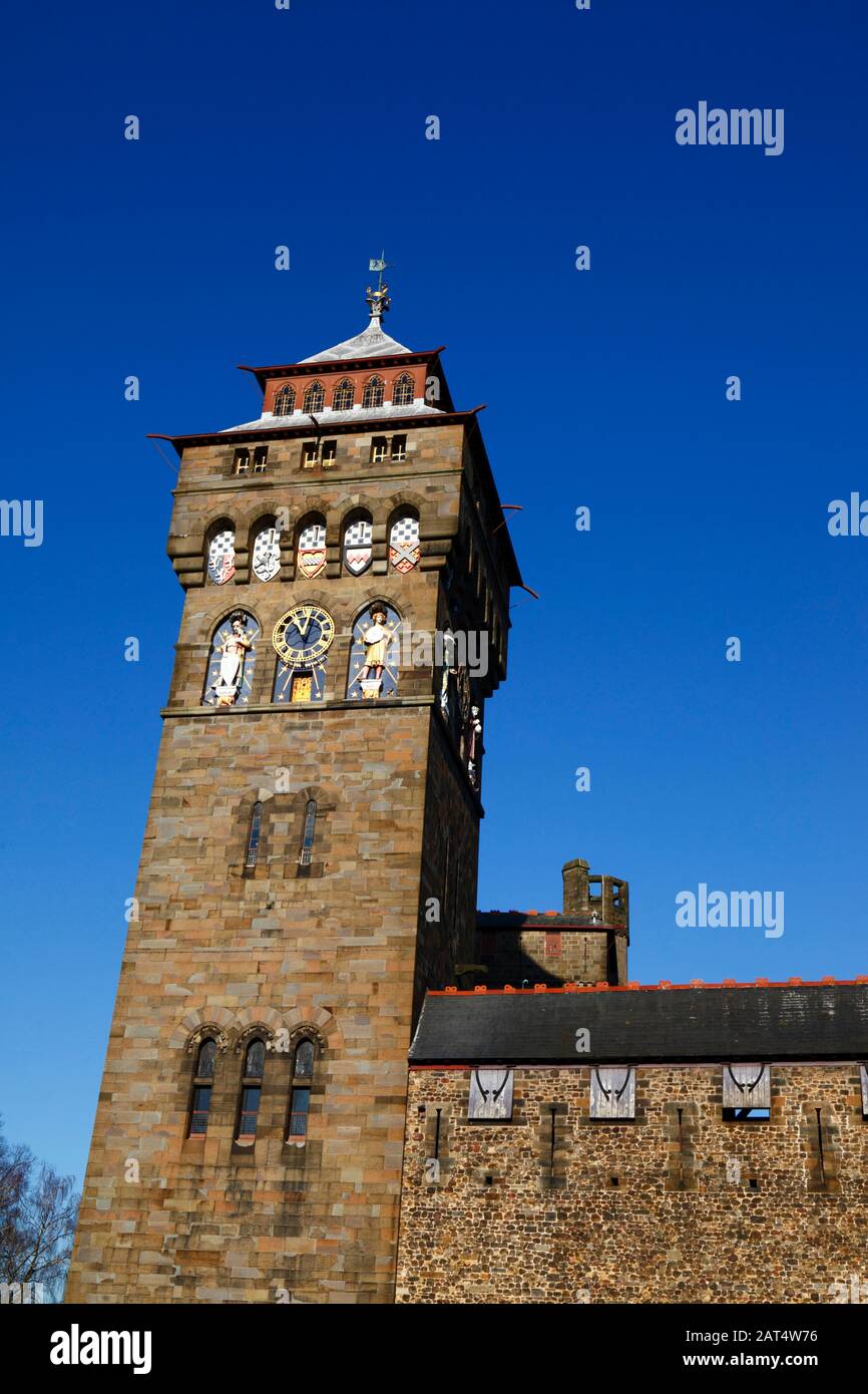 Vista della torre dell'orologio in stile gotico vittoriano, parte del Castello di Cardiff, Cardiff, South Glamorgan, Galles, Regno Unito Foto Stock
