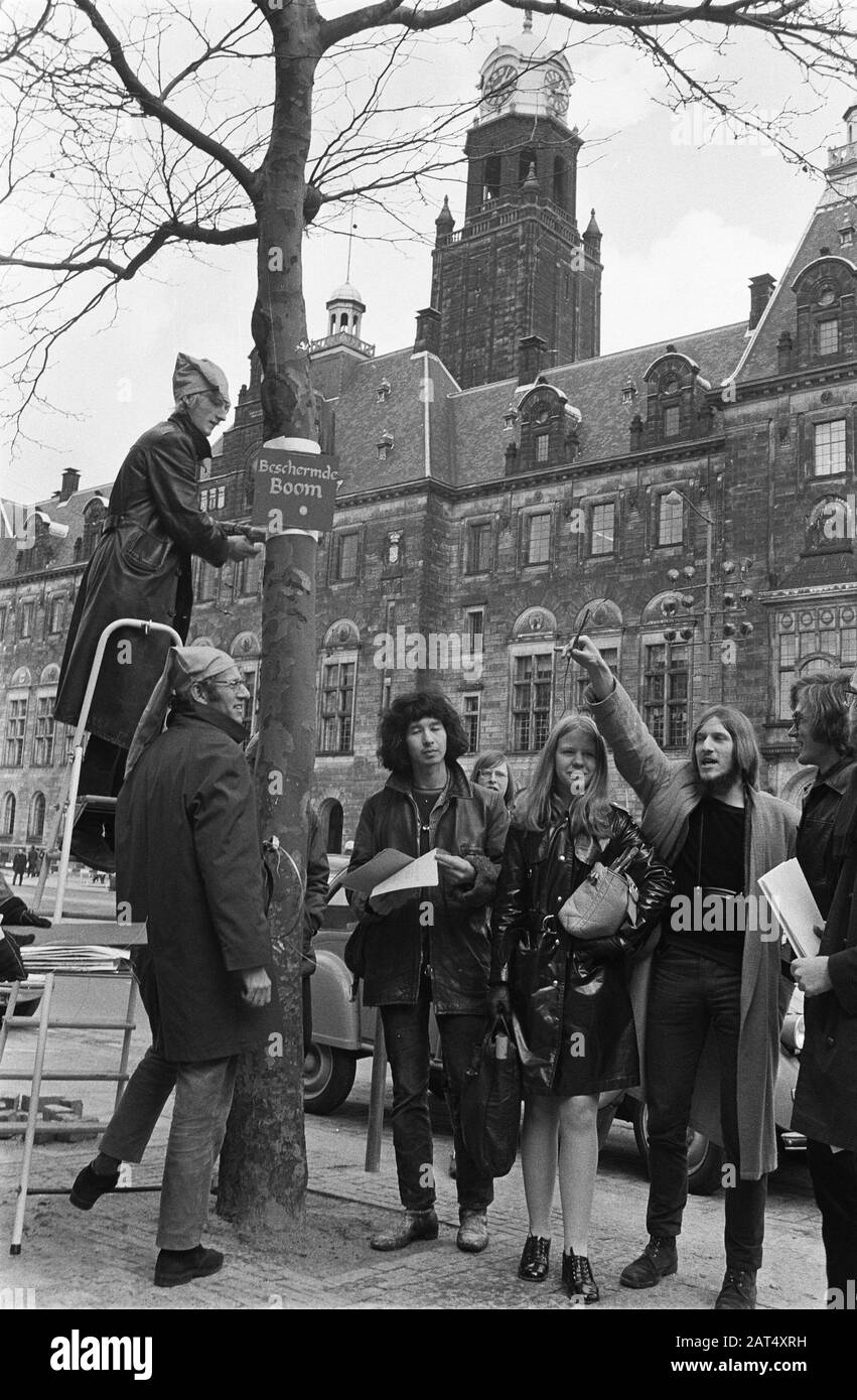 Gnomi di Rotterdam Oranje Stato libero applicare segni Proteggere albero su alberi in connessione con C 70 su Coolsingel Data: 7 aprile 1970 Località: Rotterdam, Zuid-Holland Nome Persona: Coolsingel Foto Stock