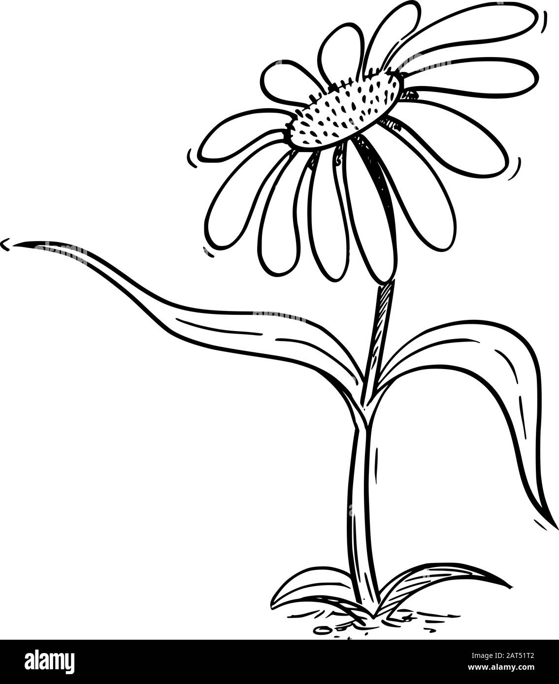 Illustrazione vettoriale del carattere di margherita flowering di cartone animato che mostra o indica qualcosa da foglia. Ecologia o natura pubblicità o disegno di vendita. Illustrazione Vettoriale