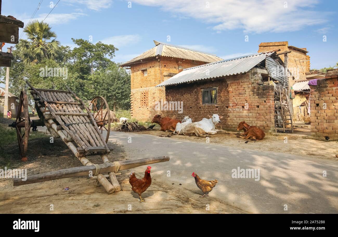 Villaggio rurale indiano scena con case di mattoni, mucche, a mano tirato carro dalla strada. Fotografia scattata a un villaggio vicino Bolpur, Bengala Occidentale Foto Stock