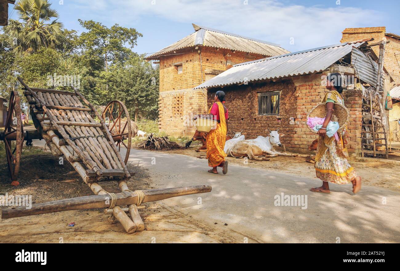 Villaggio rurale indiano scena con case di mattoni, mucche, a mano tirato carro dalla strada. Fotografia scattata a un villaggio vicino Bolpur, Bengala Occidentale Foto Stock