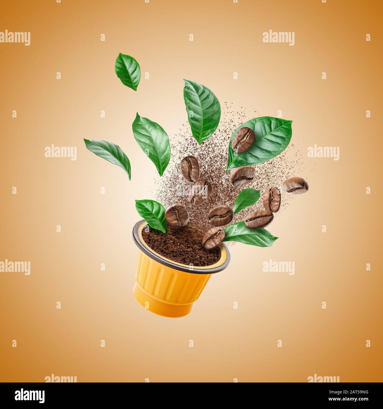 Vista esplosa del macinacaffè con chicchi tostati e foglie Foto Stock