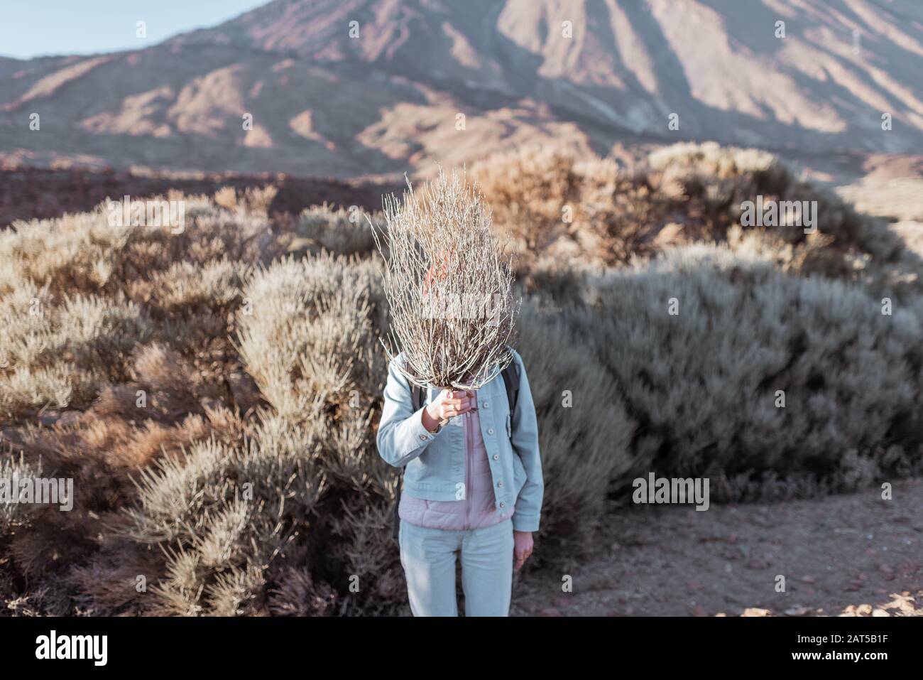 Strano ritratto di una donna che nasconde il volto dietro il cespuglio su una valle del deserto Foto Stock