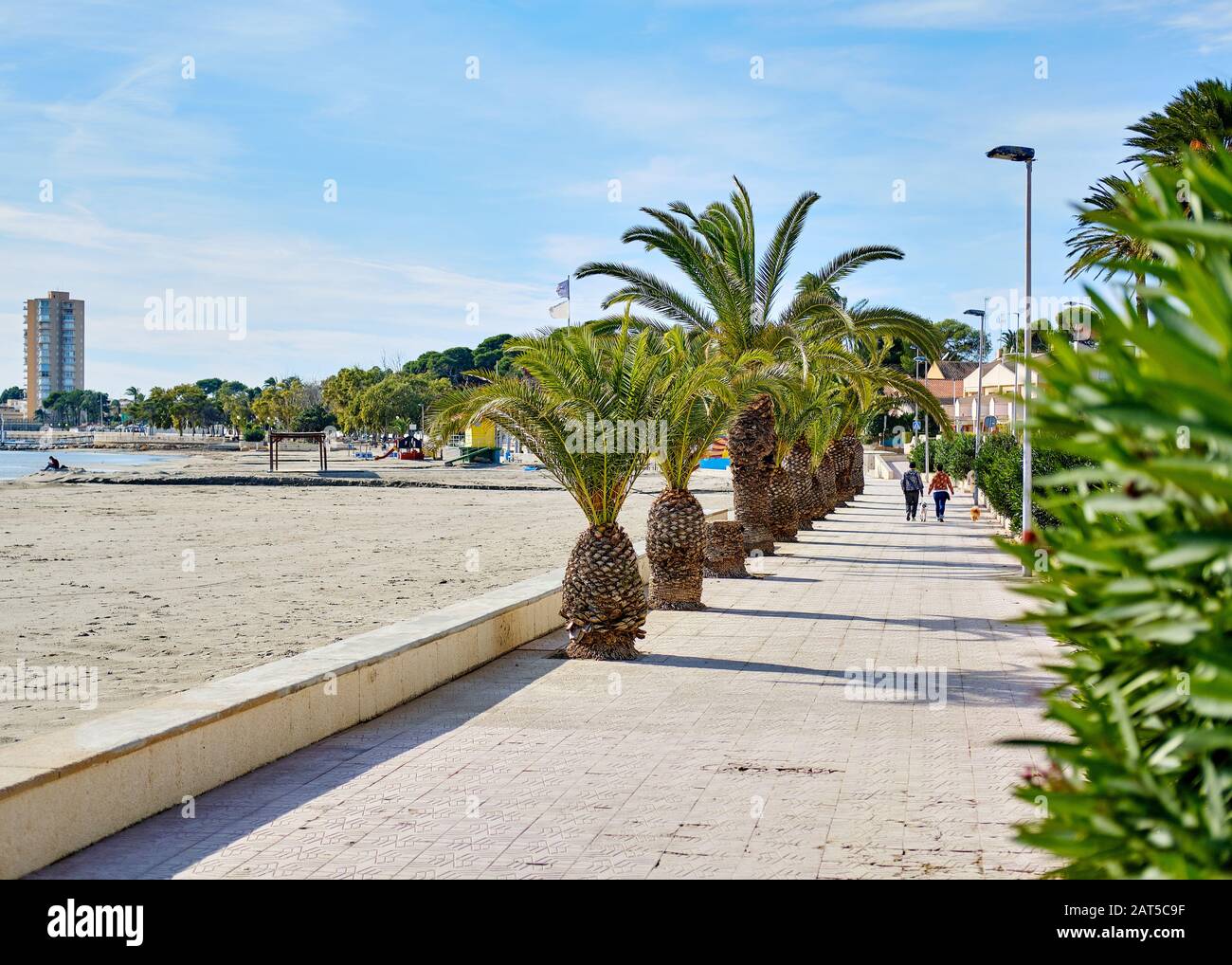 Le palme di San Pedro del Pinatar fiancheggiano il lungomare che conduce lungo la costa sabbiosa del Mar Mediterraneo. Murcia o Mursia, Costa Cálida, Spagna Foto Stock