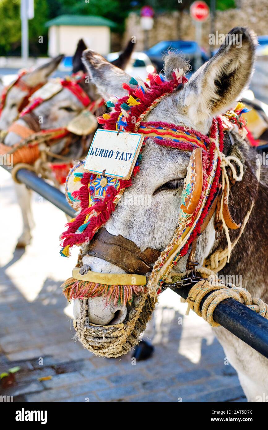 Asino taxi punto di riferimento nel villaggio Mijas. Molti taxi d'asino che aspettano i turisti a venire e di cavalcarli attraverso il villaggio. Costa Del Sol, Spagna Foto Stock