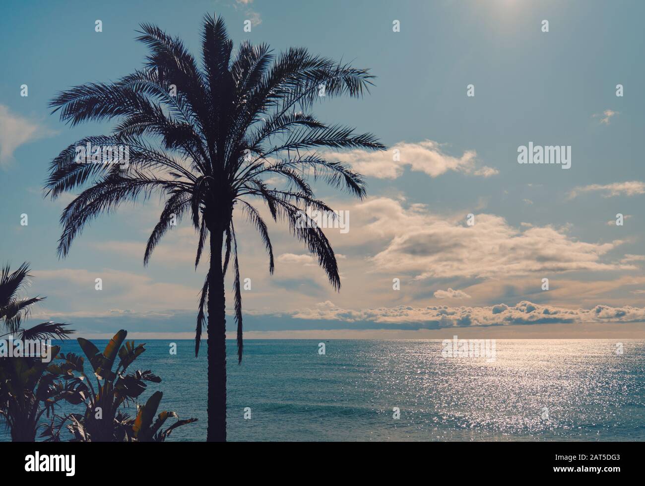 Paesaggio idilliaco silhouette paesaggio di palme lussureggianti foglie sole splendente su acque tranquille e lucide del Mar Mediterraneo. Spiaggia di Benalmádena, Spagna Foto Stock