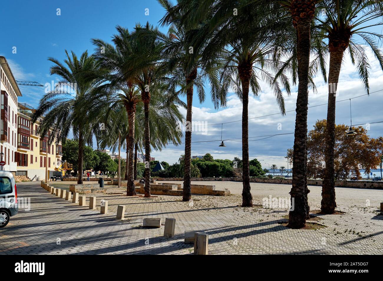 Soleggiata strada litoranea fiancheggiata da palme passeggiata vuota che conduce lungo il Mar Mediterraneo, Palma di Maiorca, Baleares, Spagna Foto Stock