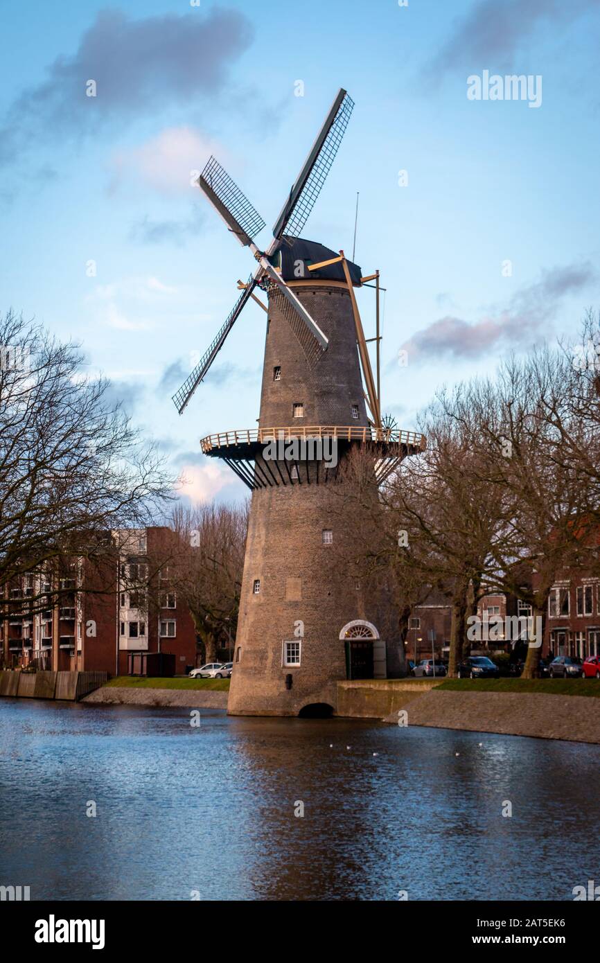 Bei mulini a vento nella provincia di Schiedam, nell'Olanda meridionale, questi mulini a vento più alti del mondo, noti anche come mulini a bruciatore, sono stati utilizzati per macinare grano t. Foto Stock