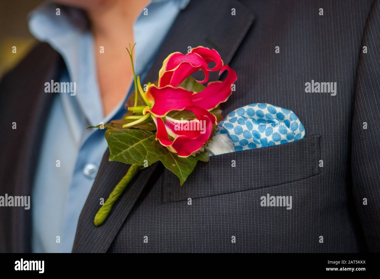 Variopinto orchidea rosa come boutonniere In Abito Dark Groom Foto Stock